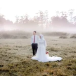 pexels-willy-wft-9717106-scaled-1-1024x683