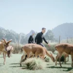 pexels-willy-wft-9915163-scaled-1-1024x683