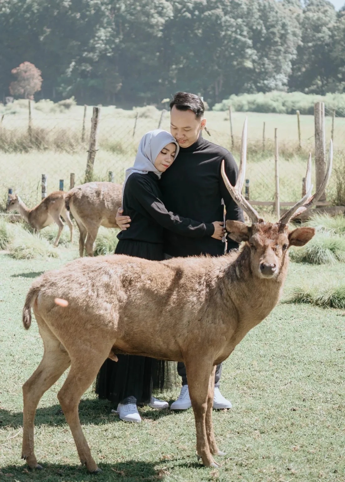 pexels-willy-wft-9915167-scaled-1-1101×1536